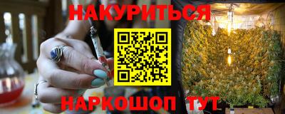 шишки Сланцы