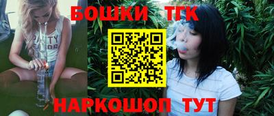 шишки Сланцы