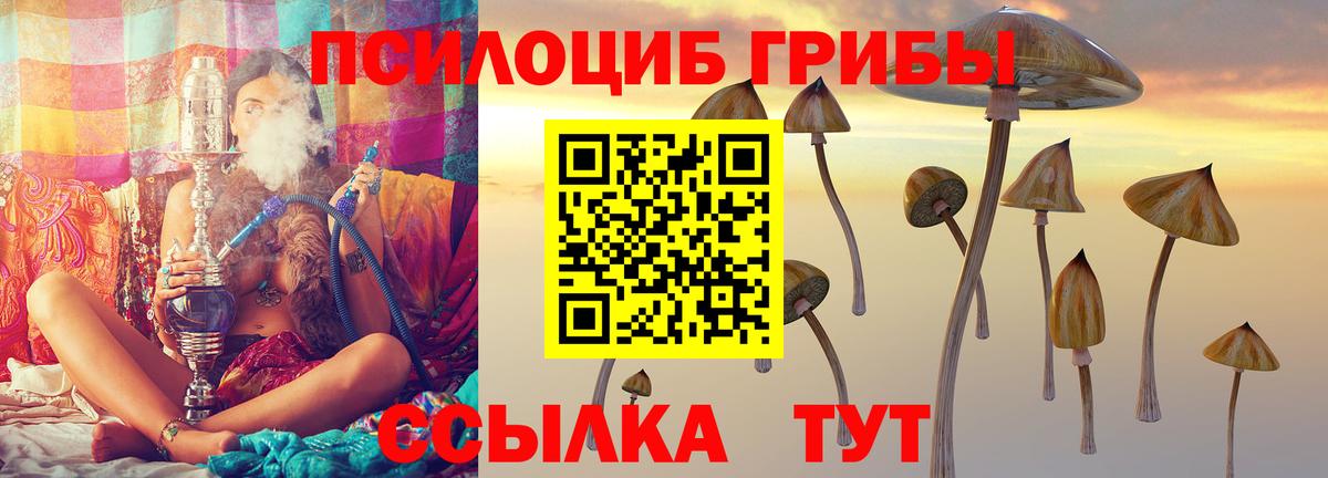 Светлоград  Галлюциногенные грибы мухоморы  купить наркотик  Вход с VPN 